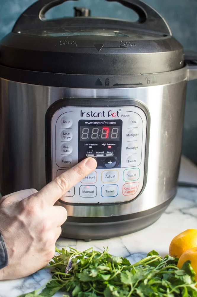 15 Easy Peasy Whole30 Instant Pot Recipes