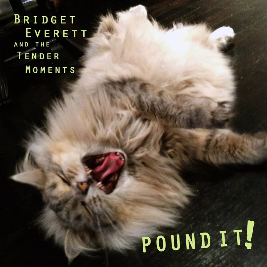 BRIDGET EVERETT AND THE TENDER MOMENTS - ALBUM