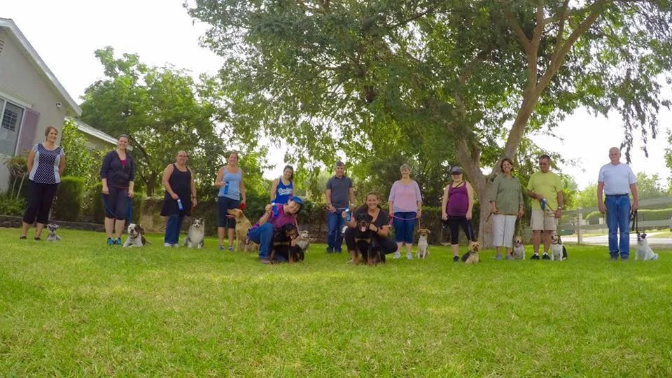 At the end of your leash! Dog Training & Wellness