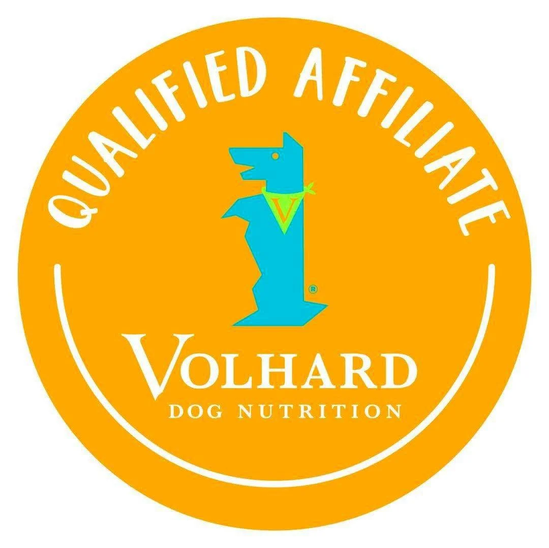 At the end of your leash! Dog Training & Wellness