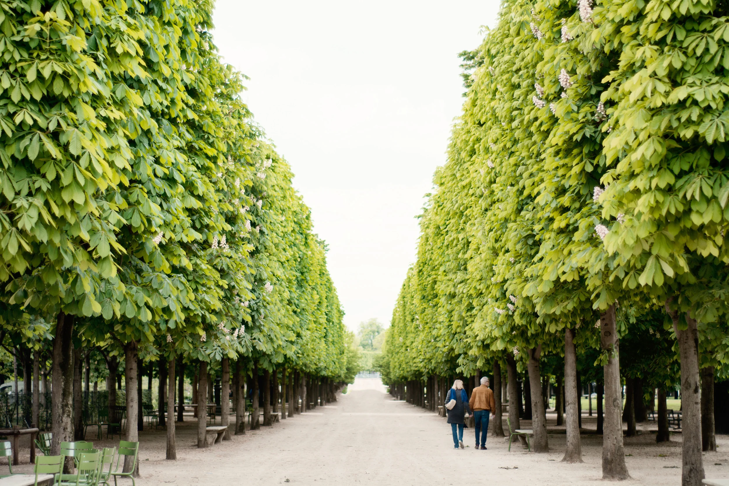 jardin2.jpg