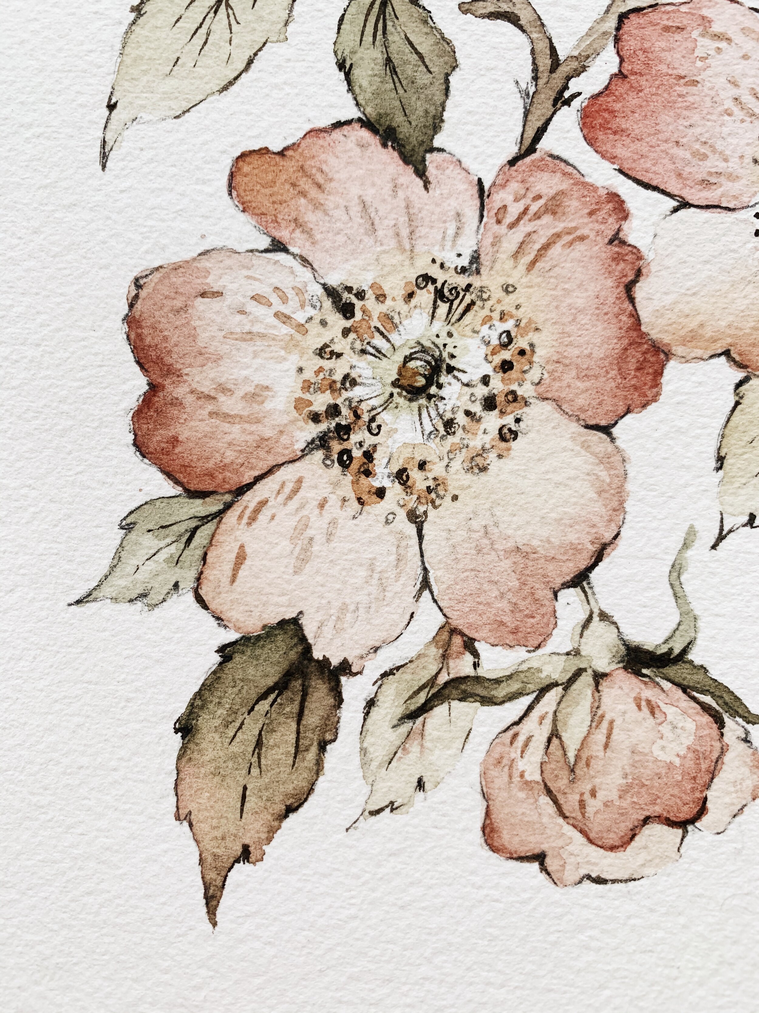 Garden Rose No. 1