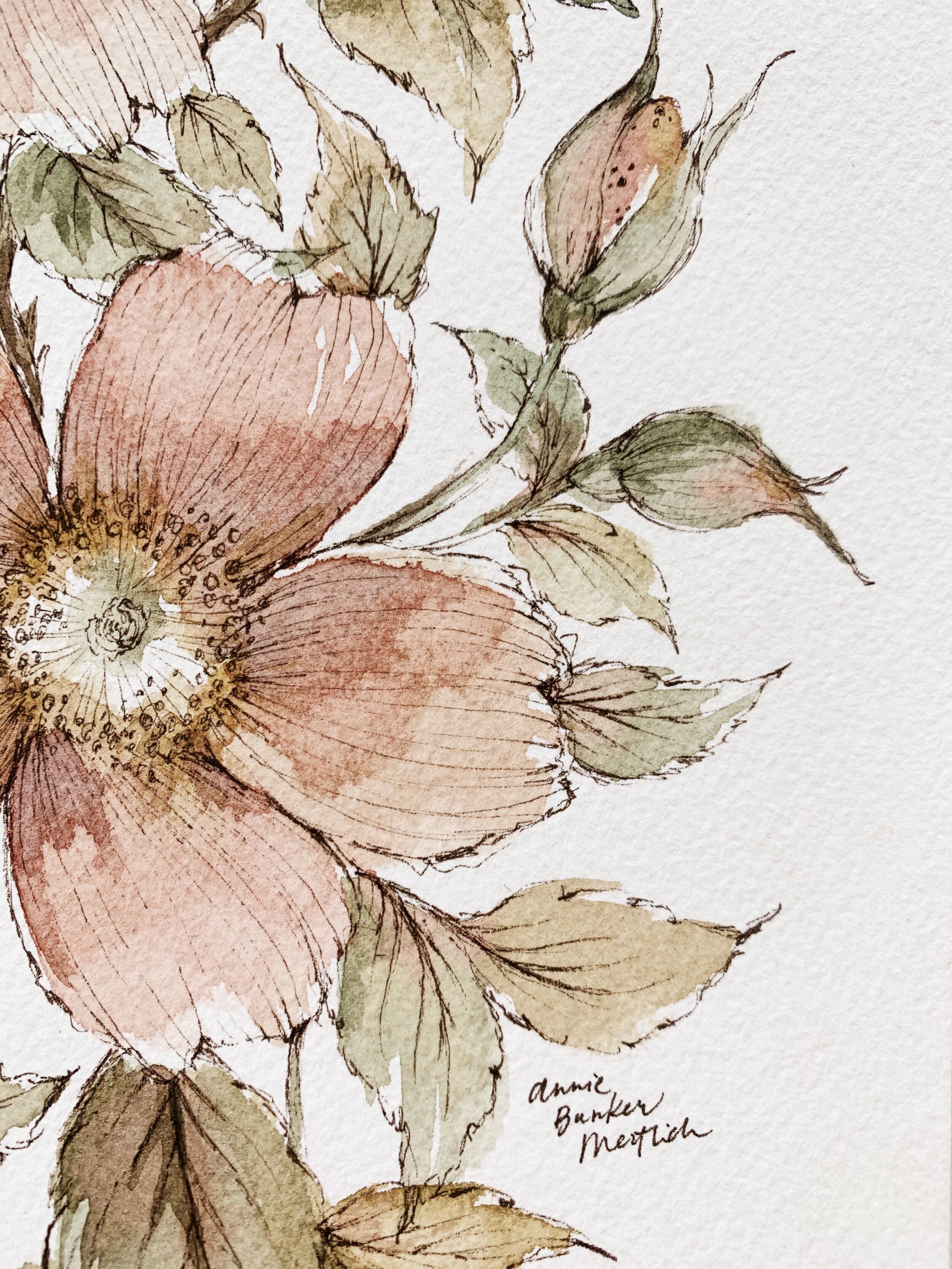 Garden Rose No. 4