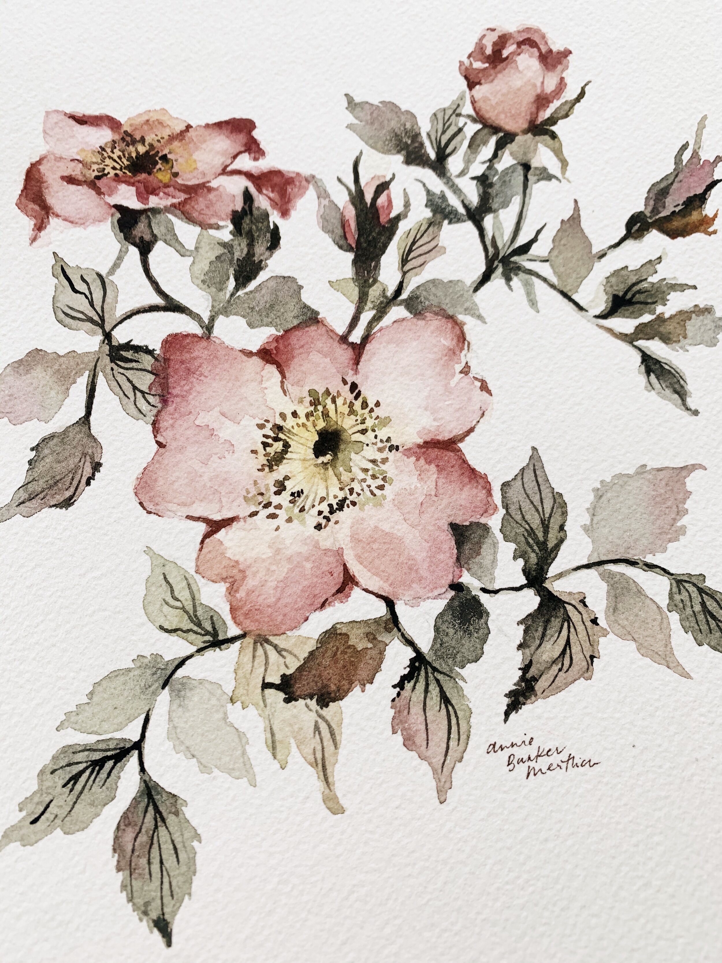 Garden Rose No. 7