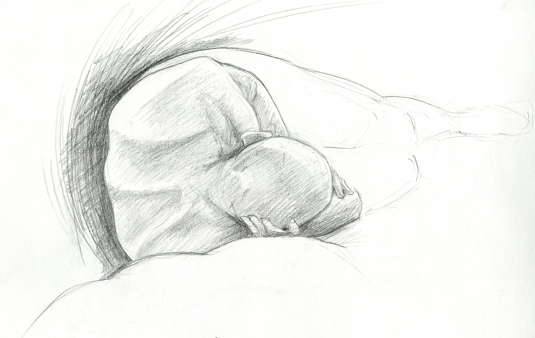 Human Study 