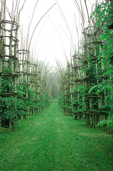  The Land Art of Giulino Mauri 