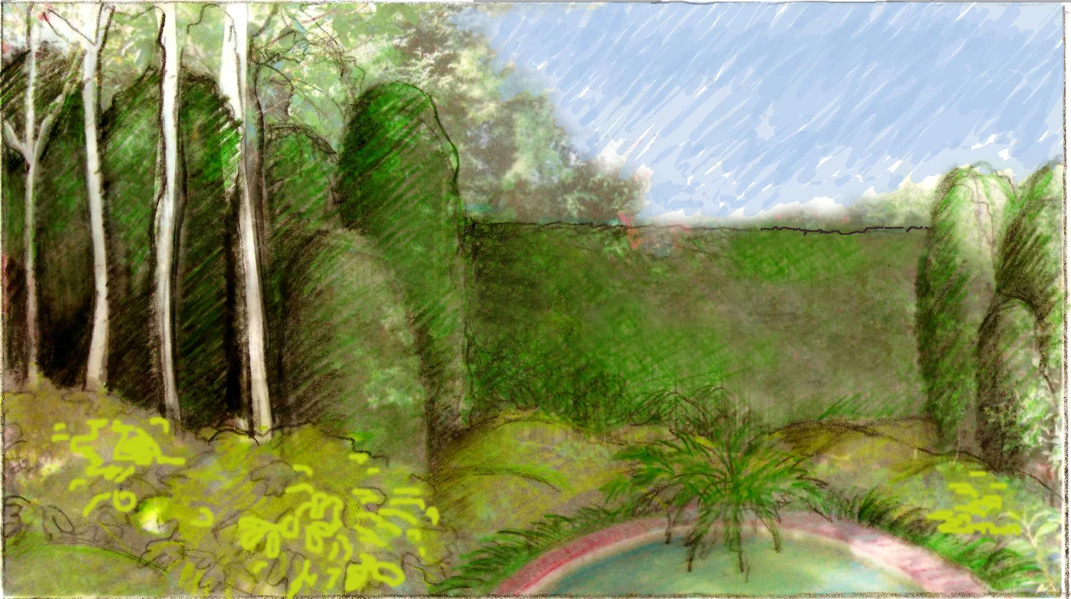 Sketch of mixed conventional and columnar hedging we used to hide the wooden fencing and create an illusion of depth. Alongside this is the pond we wreathed with dwarf Agapanthus and a fern corsage.