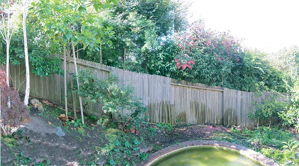 Area of fencing and pond, BEFORE.