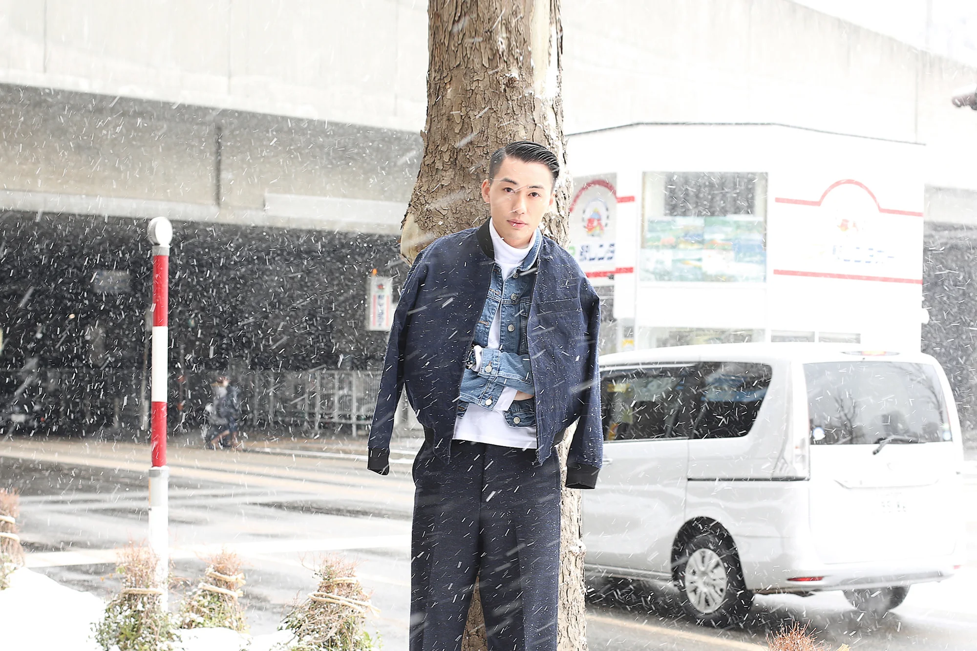 c1snow copyb.jpg