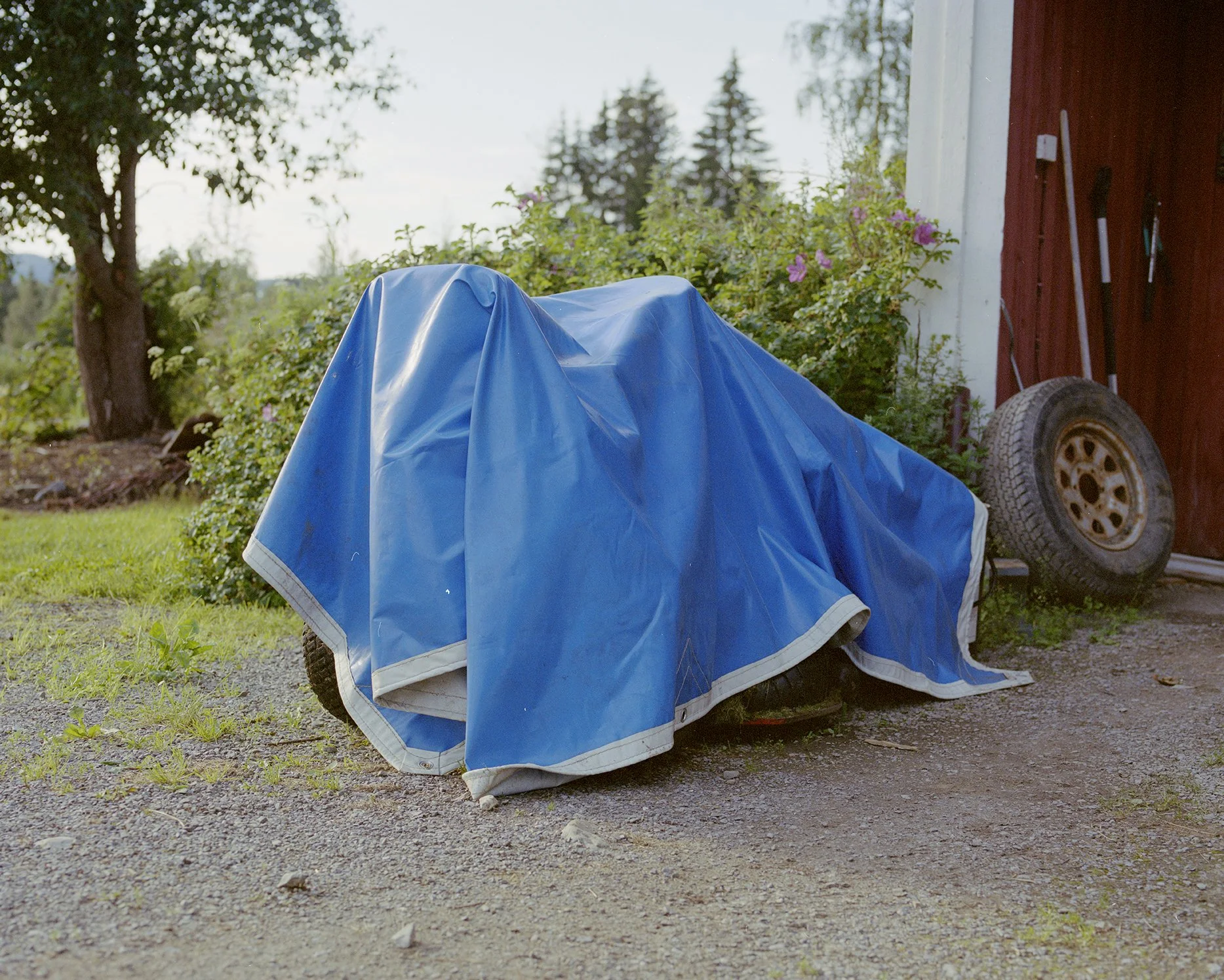Ts_Ulstein19.jpg