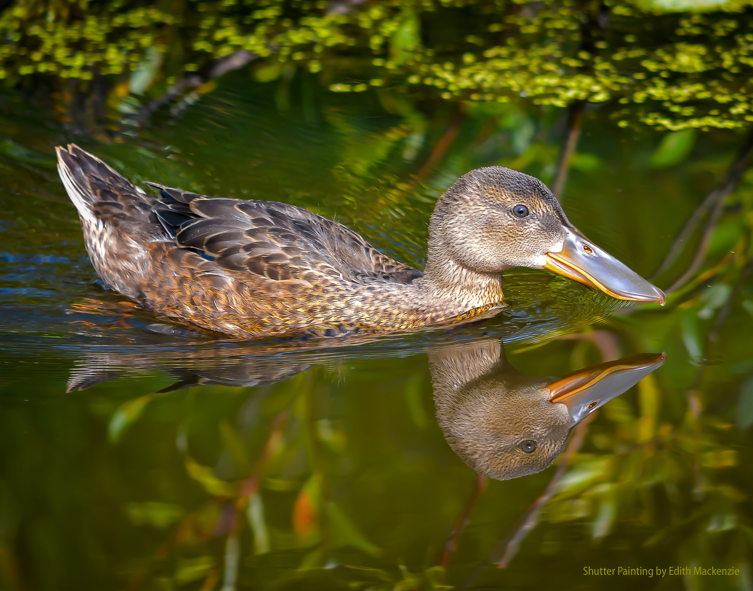Me and my reflection