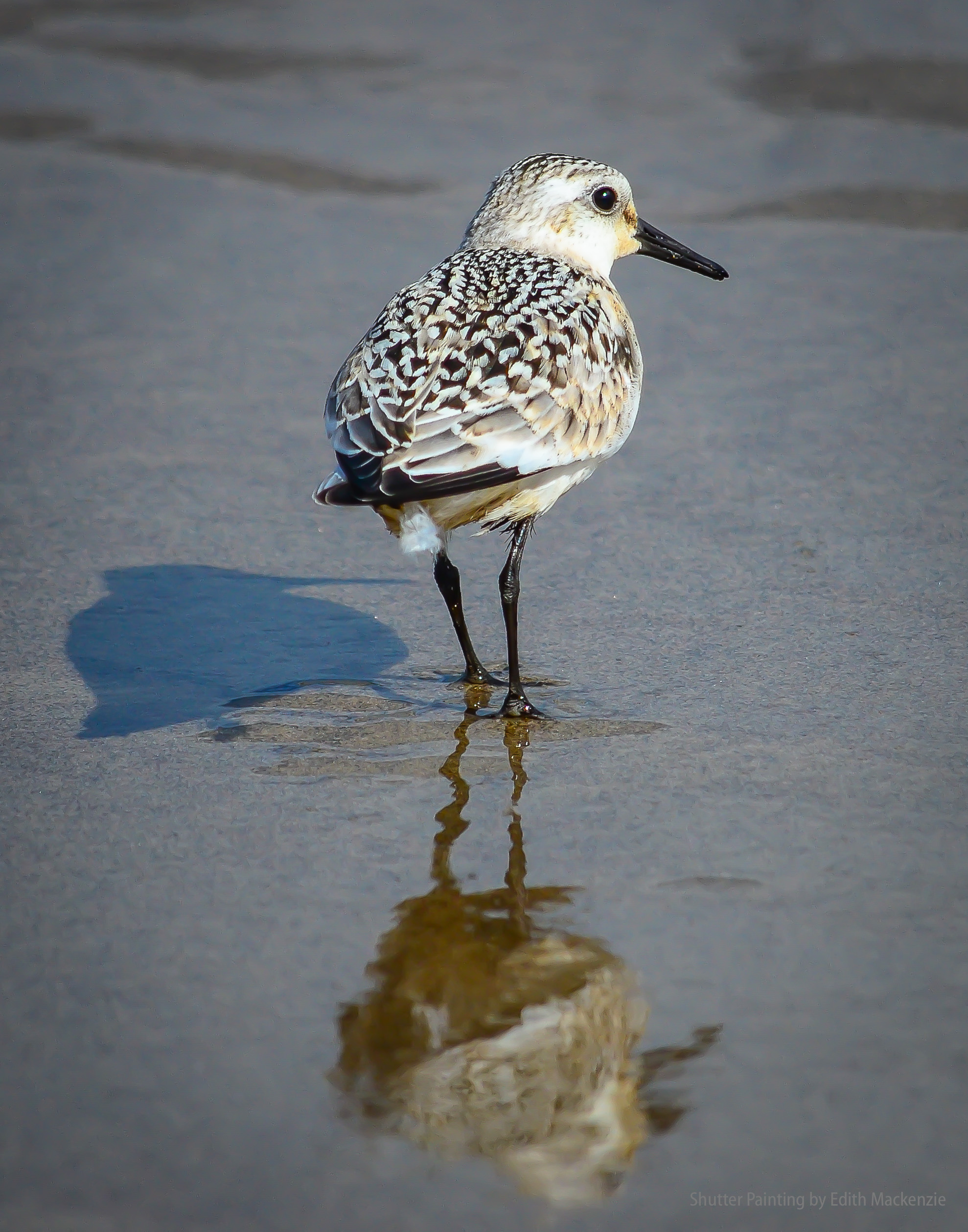 Me, my shadow and my reflection