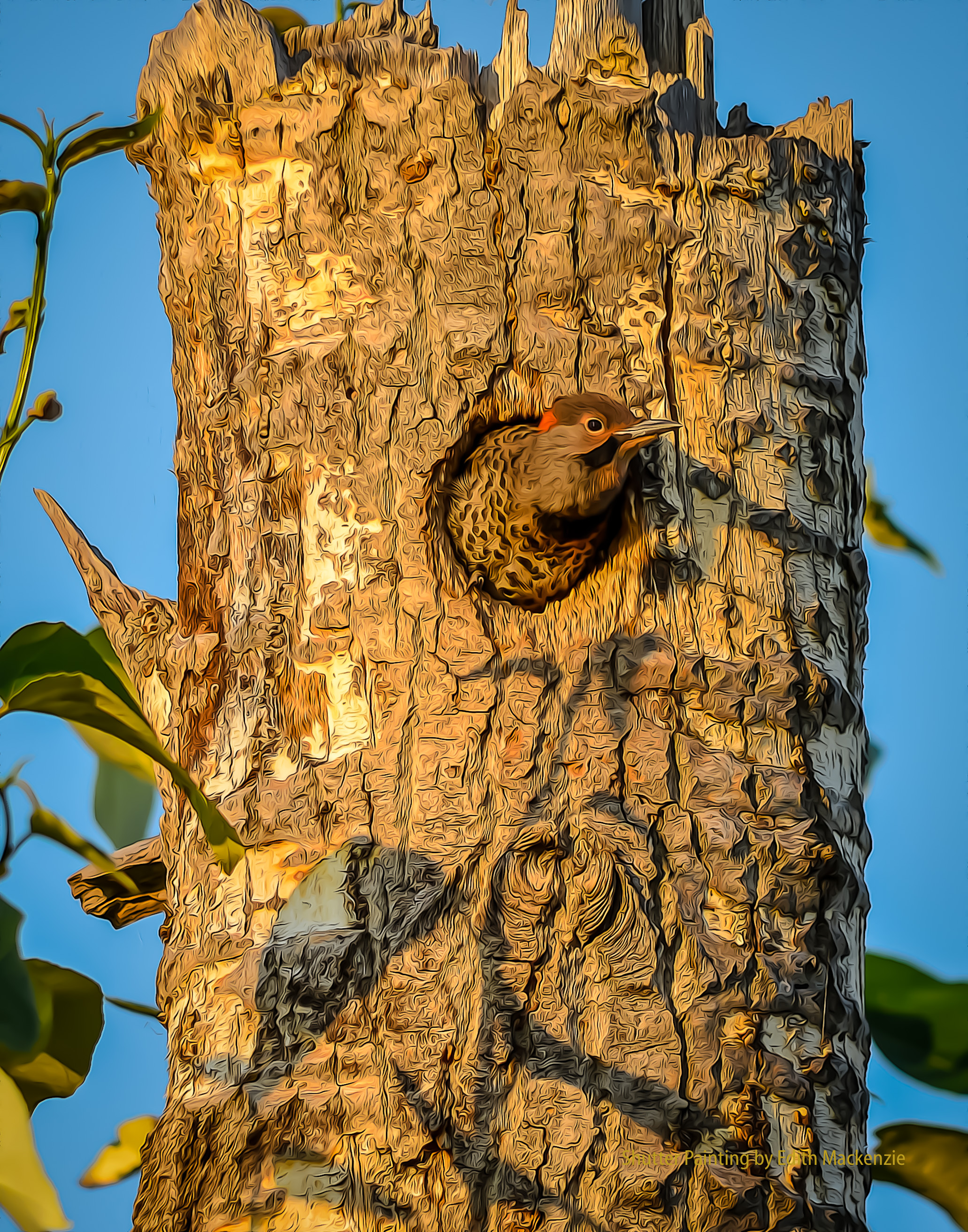 DSC_2074-2flicker-oil-poster.jpg