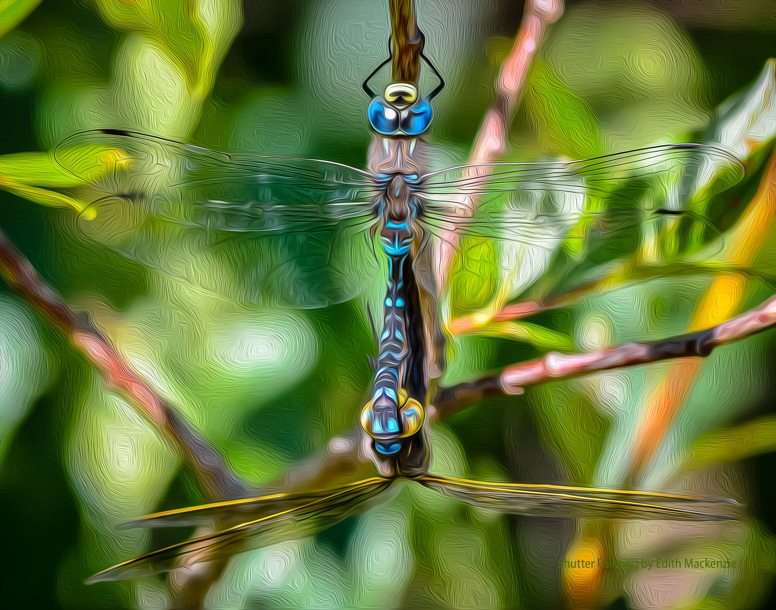 DSC_5090dragonflies-oil.jpg