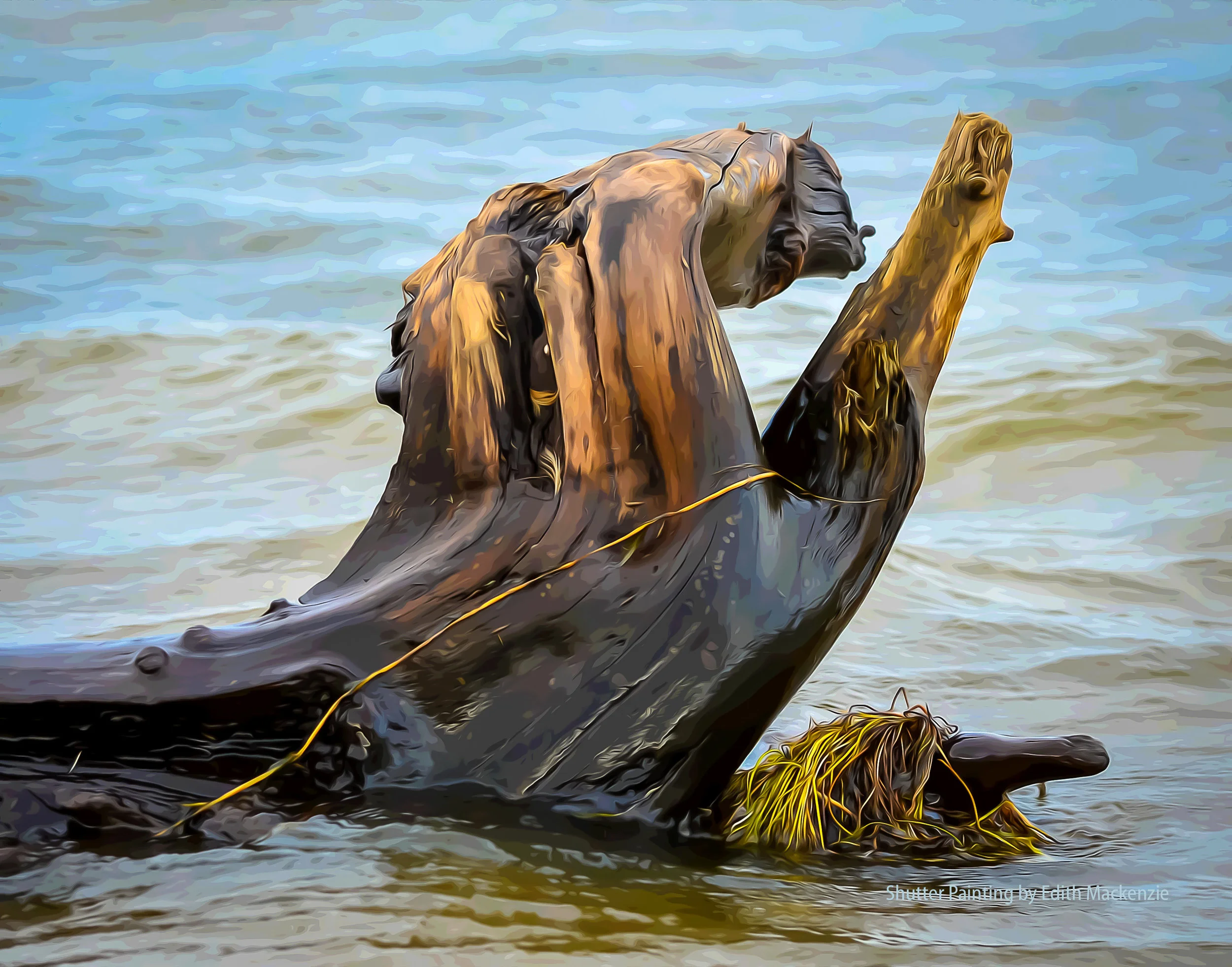 DSC_6564log-oil-poster.jpg