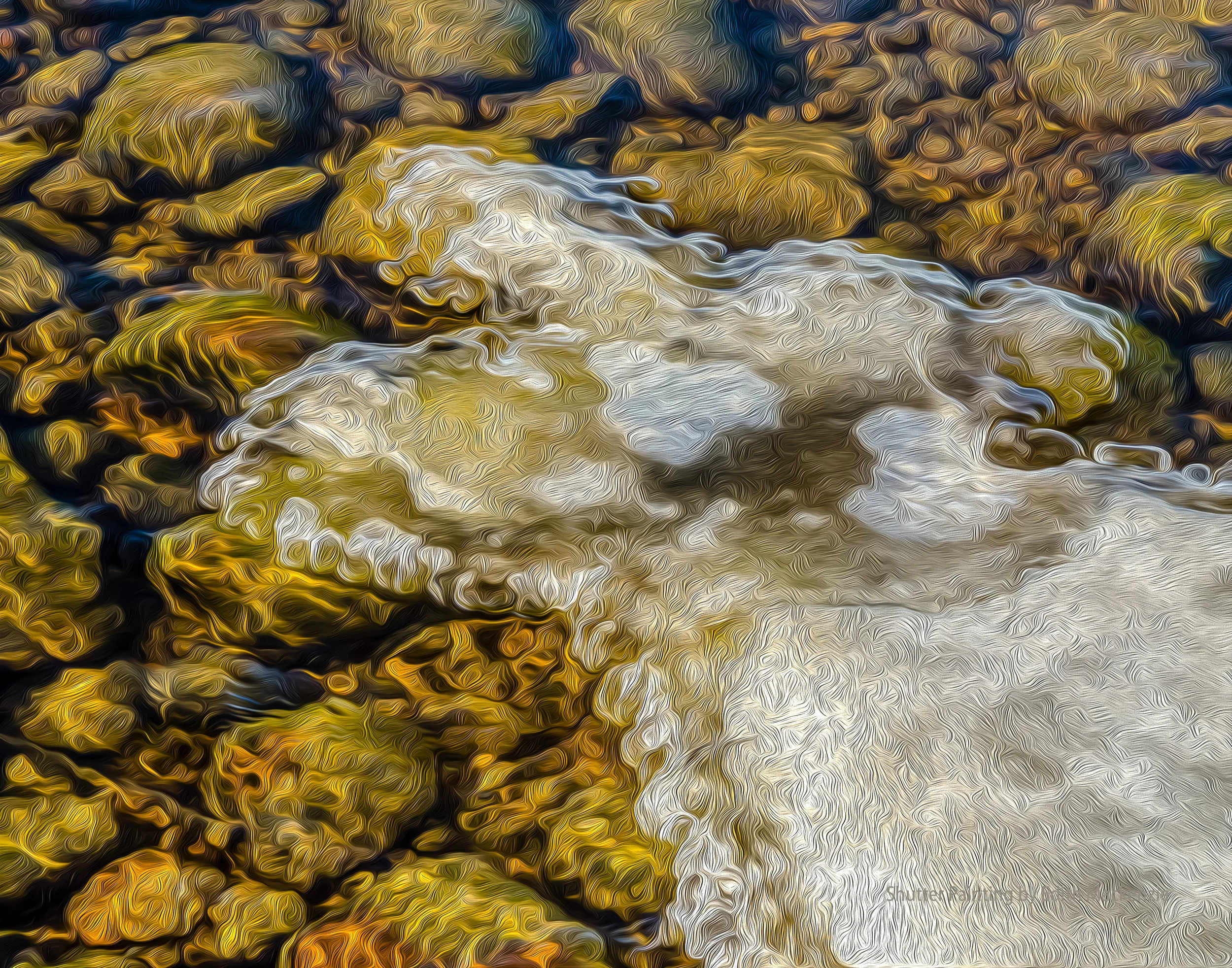 DSC_7413icemoose-oil.jpg