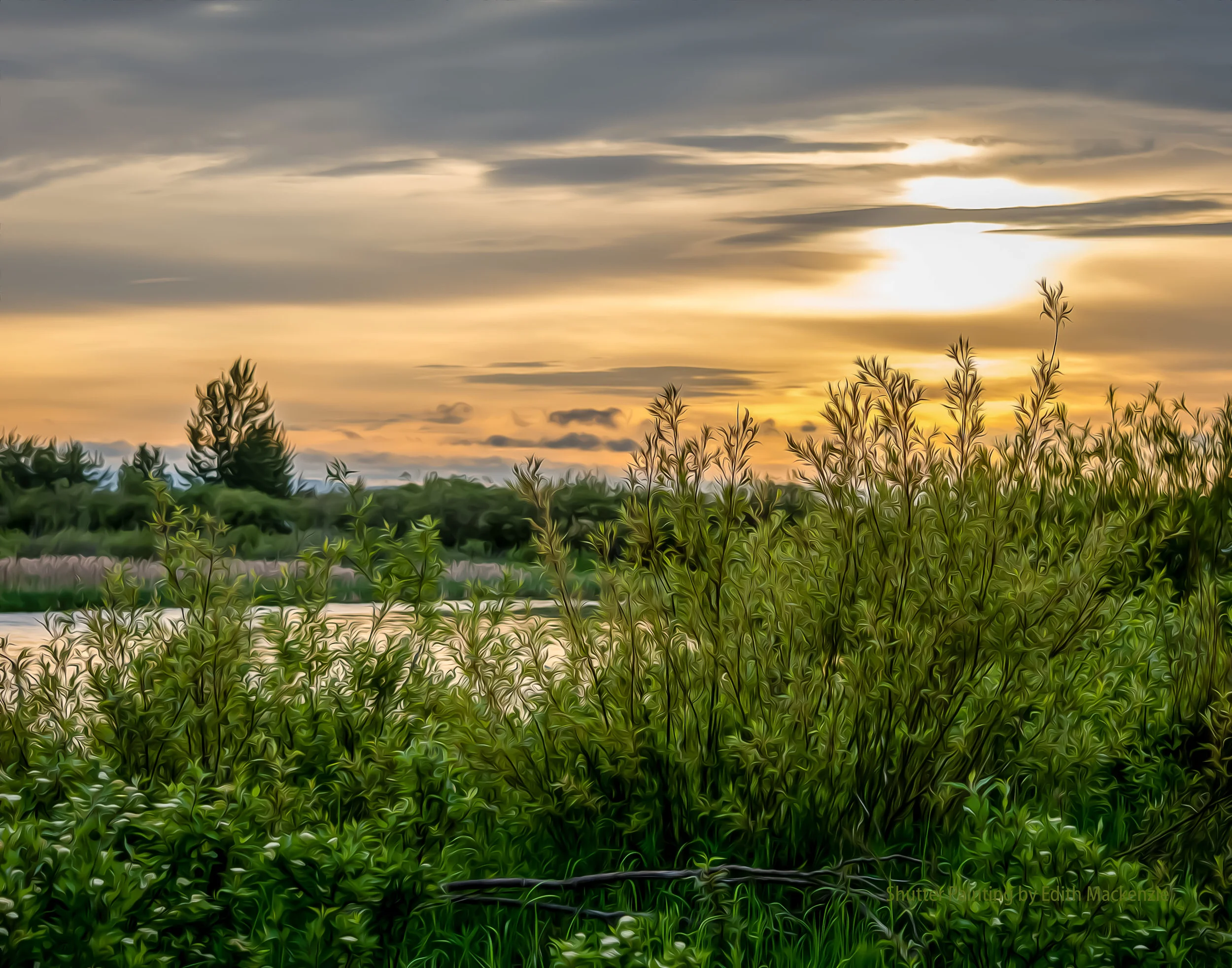 DSC_7896sunriseriver-oil.jpg