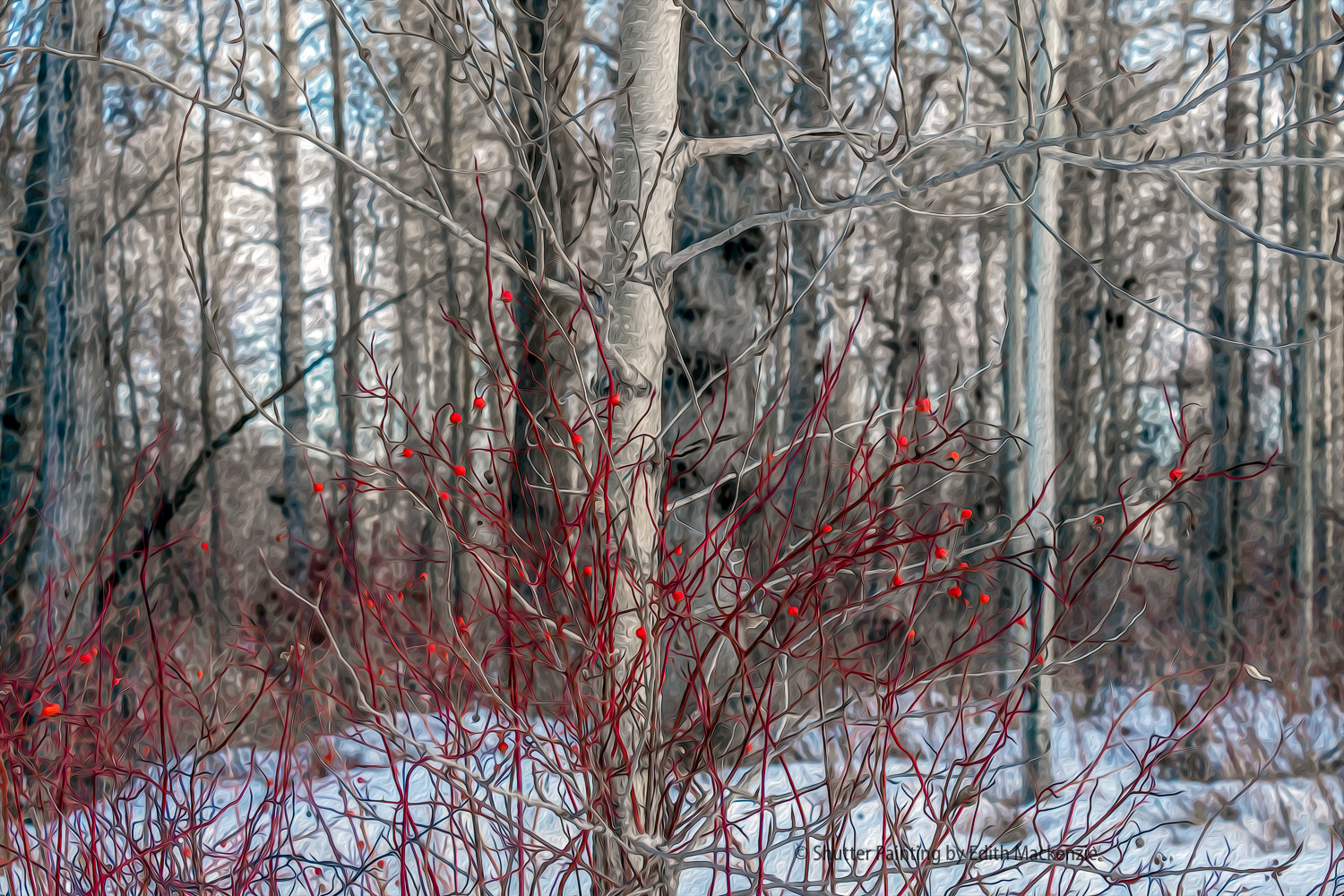 DSCF0755-Edit.jpg