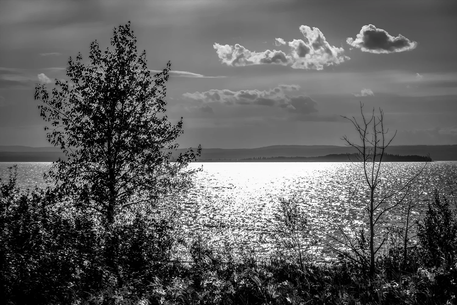 DSCF1596-Edit.jpg