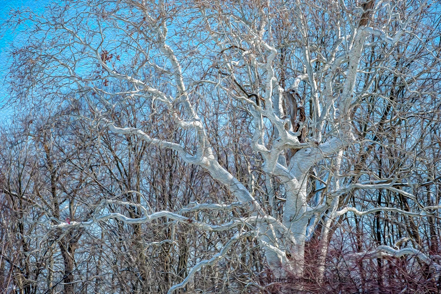 DSCF4124-Edit-2-3.jpg