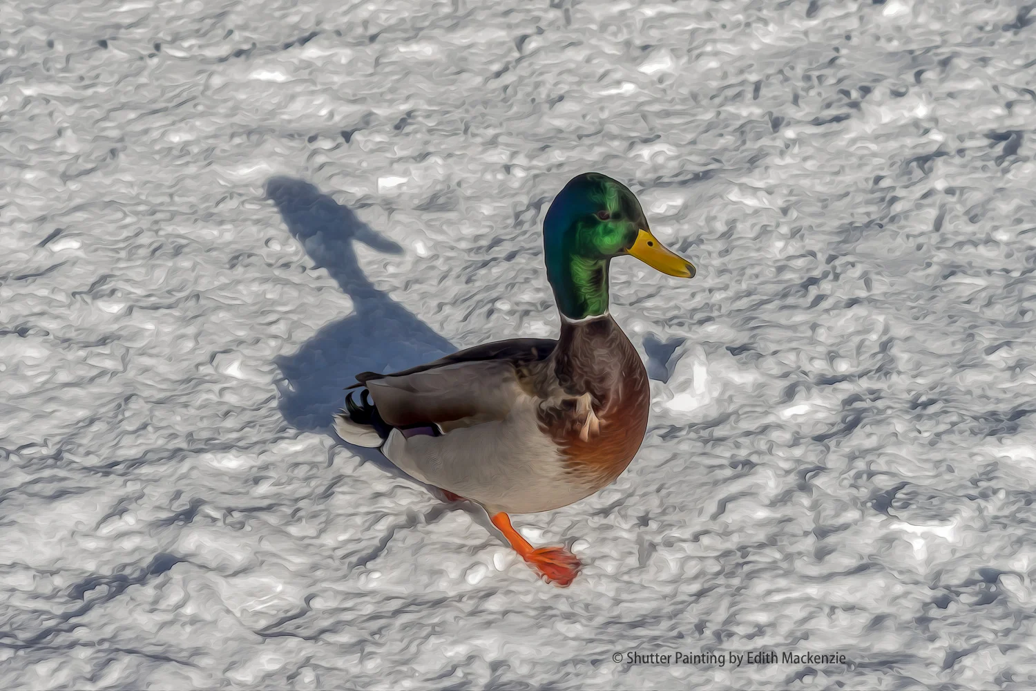 DSCF4214-Edit.jpg