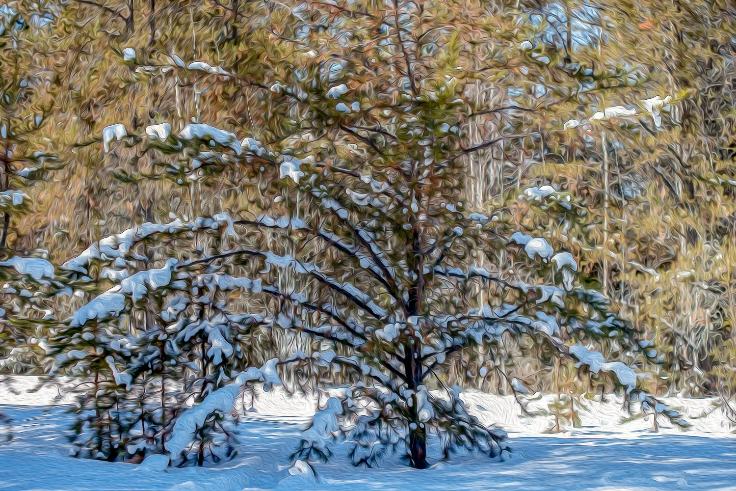 DSCF4795-Edit.jpg