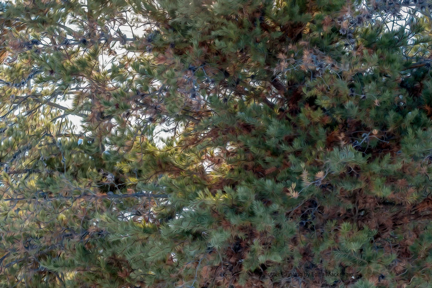 DSCF5196-Edit.jpg