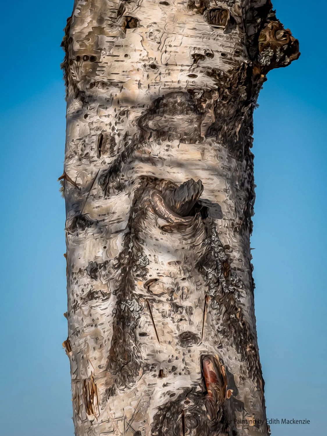 DSCF6060-Edit.jpg
