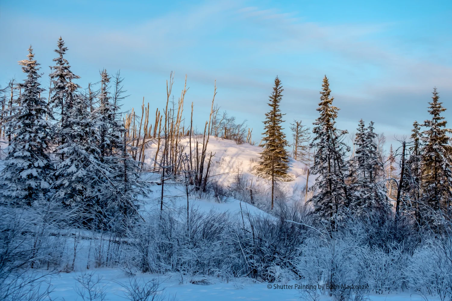 DSCF6092-Edit.jpg