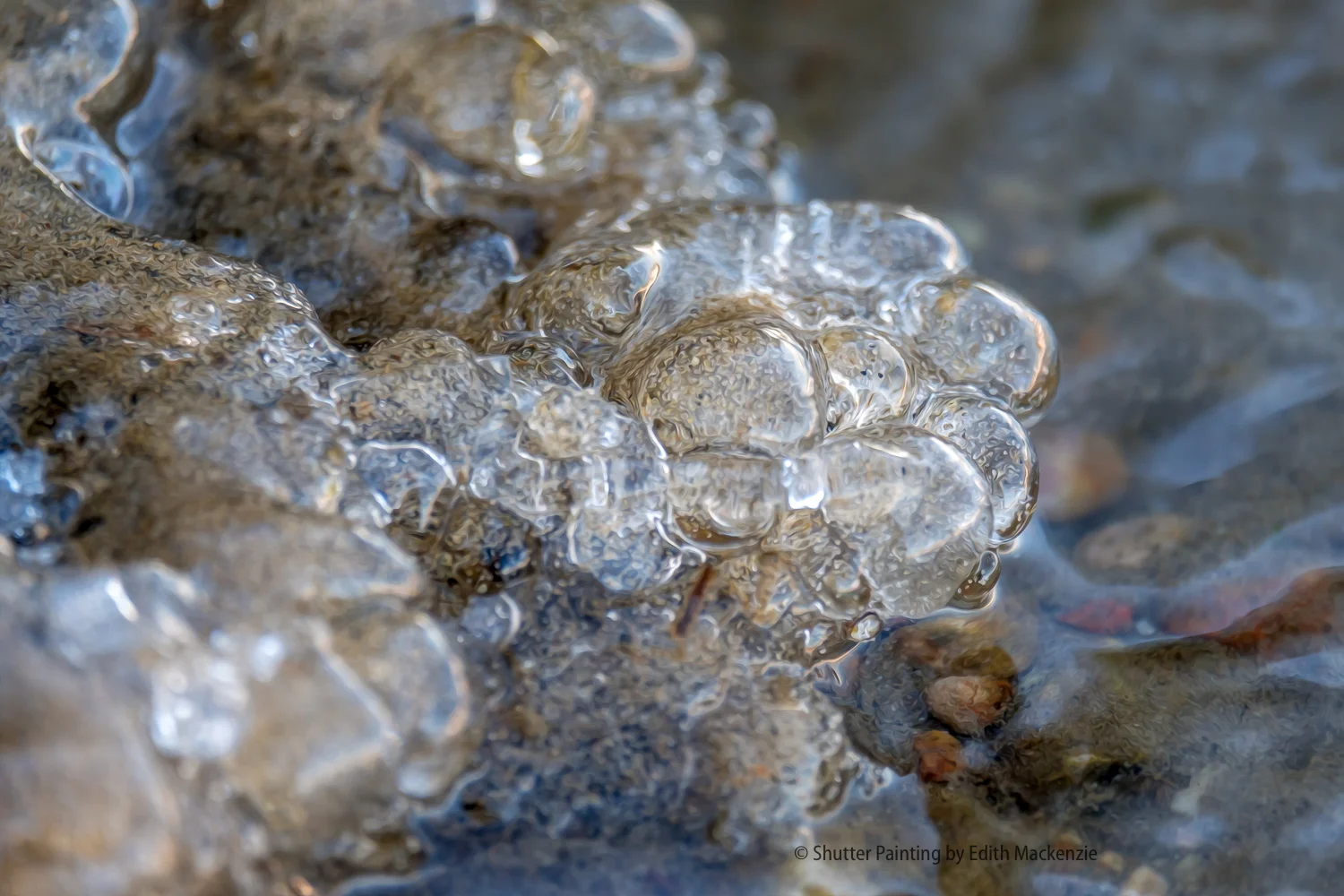 DSCF7251-Edit.jpg