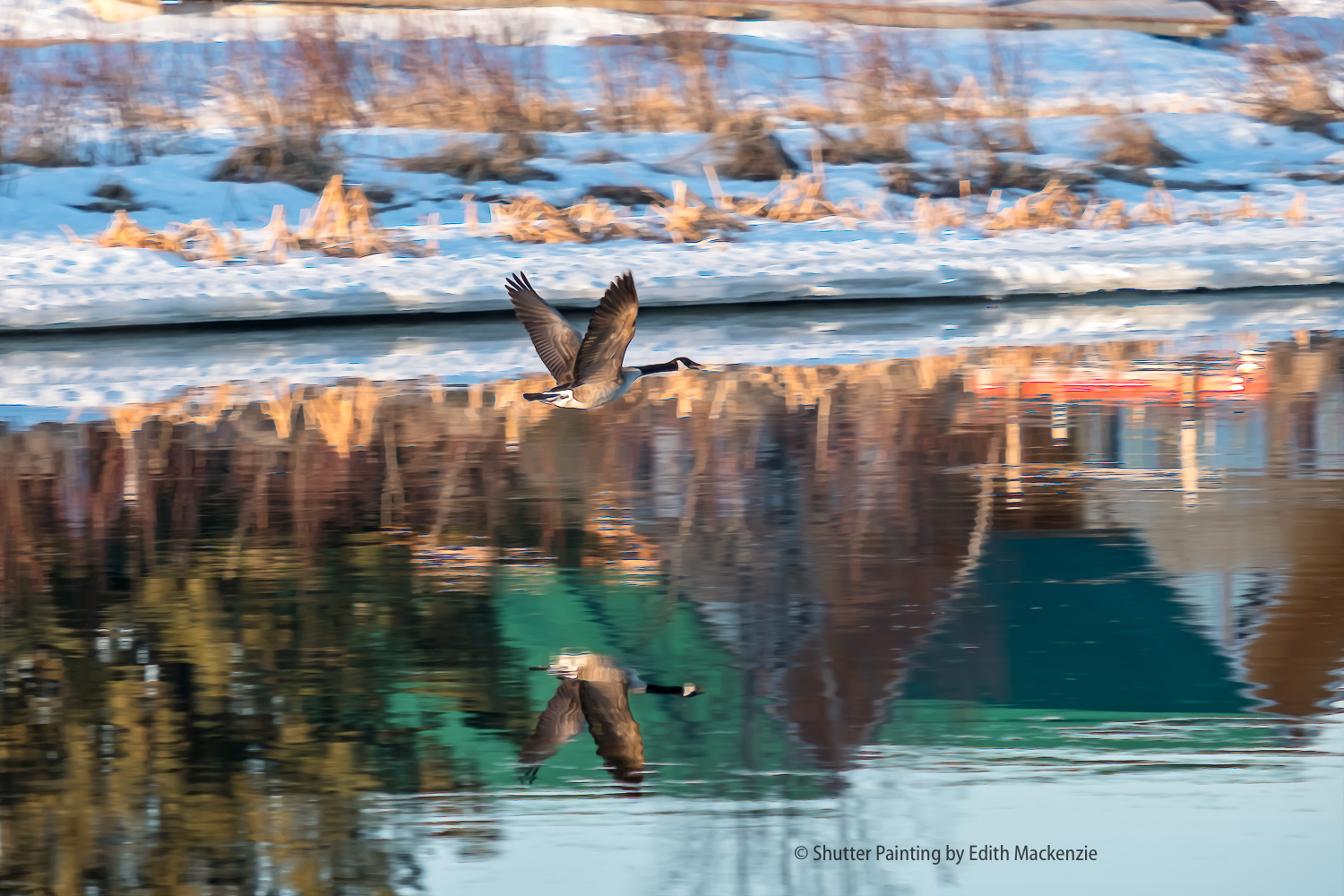 DSCF8106-Edit.jpg