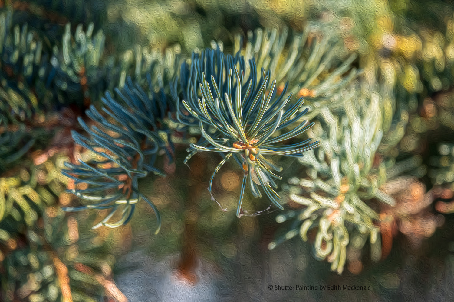 DSCF8331-Edit.jpg