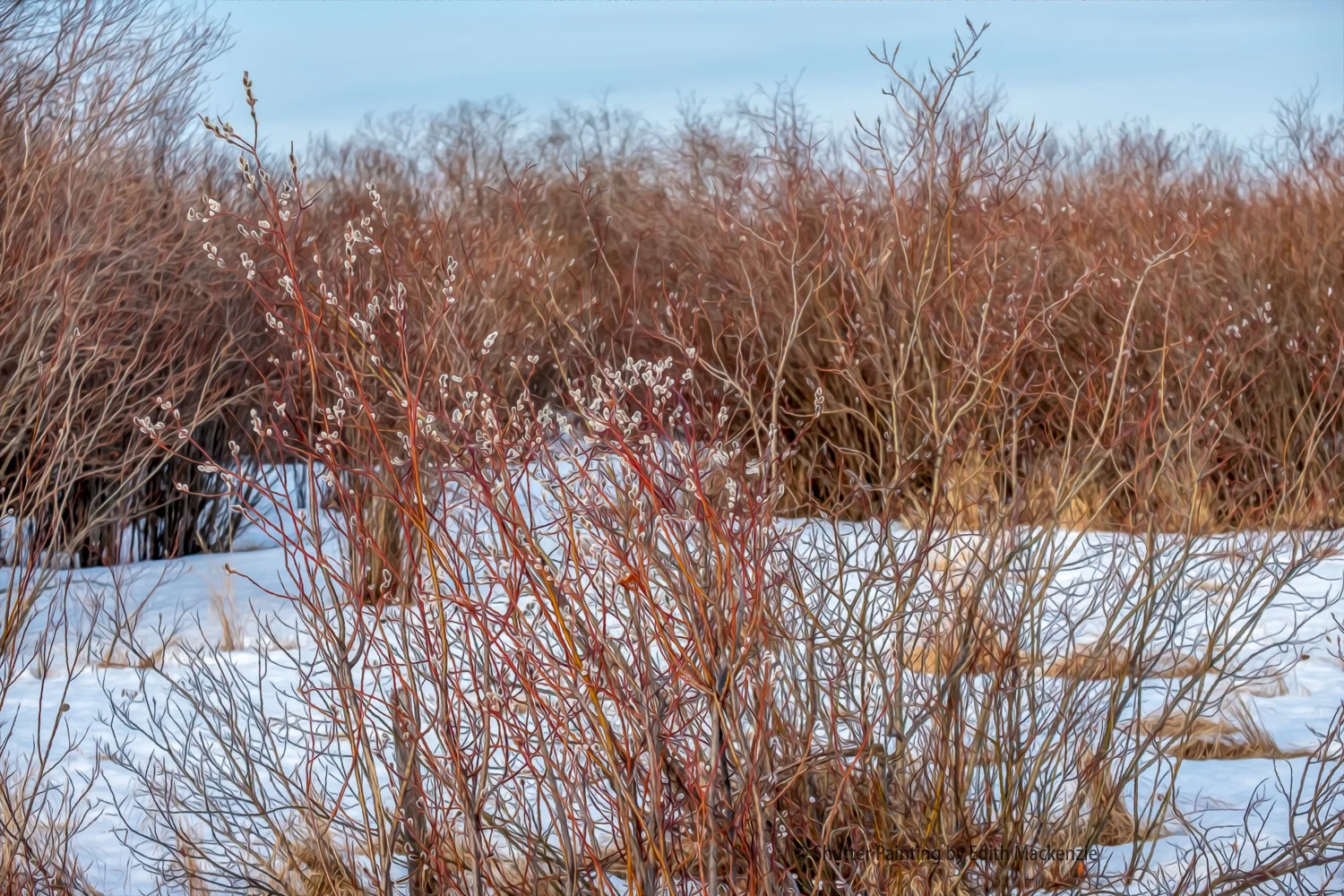 DSCF9763-Edit.jpg