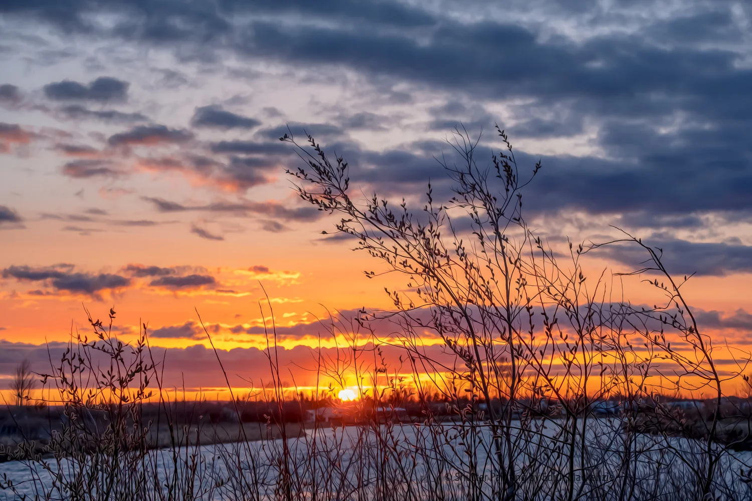 DSCF0284-Edit.jpg