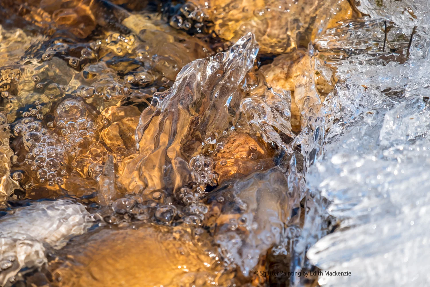 DSCF0441-Edit.jpg