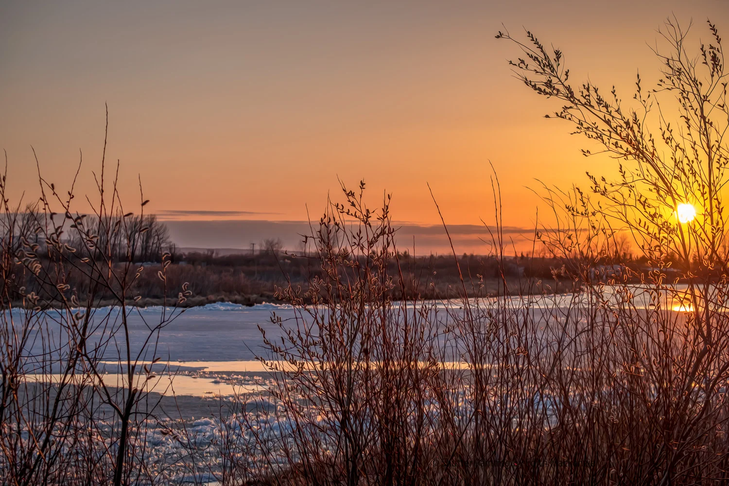 DSCF0515-Edit.jpg
