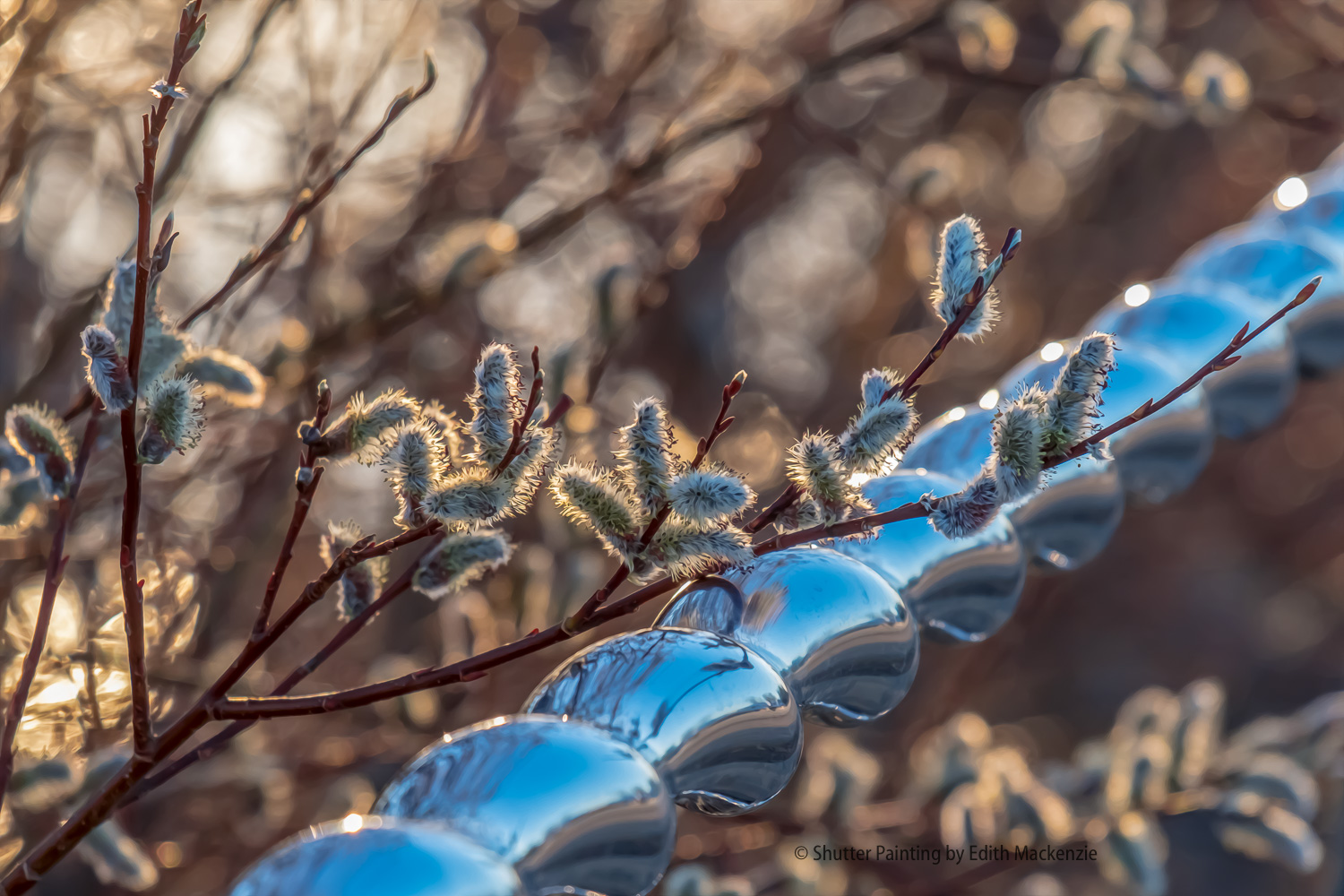 DSCF0738-Edit.jpg
