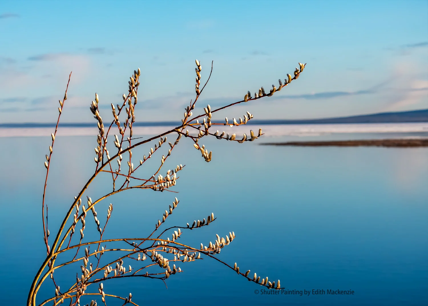 DSCF0748-Edit.jpg