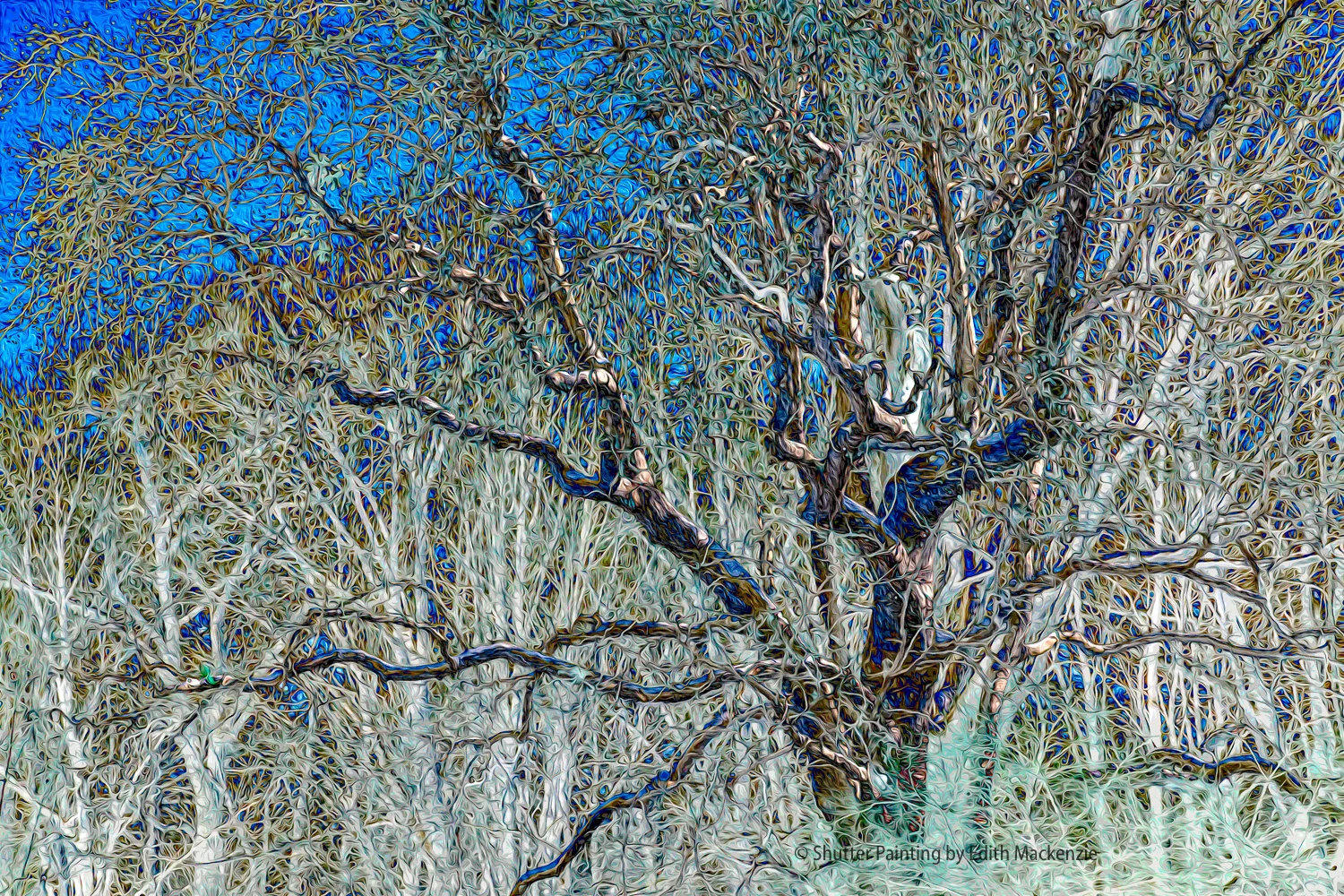 DSCF4124-Edit.jpg