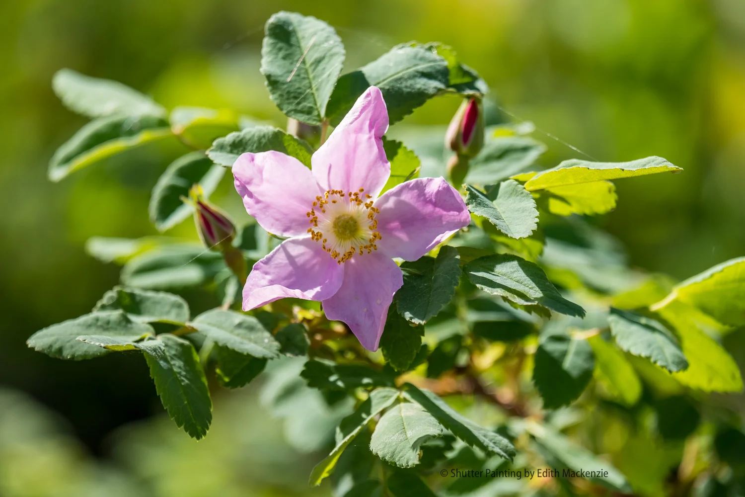 DSCF2073.jpg