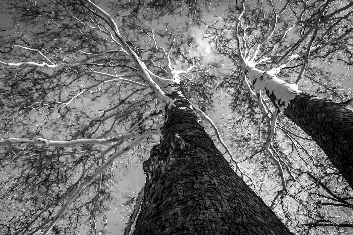 DSCF4619-Edit.jpg