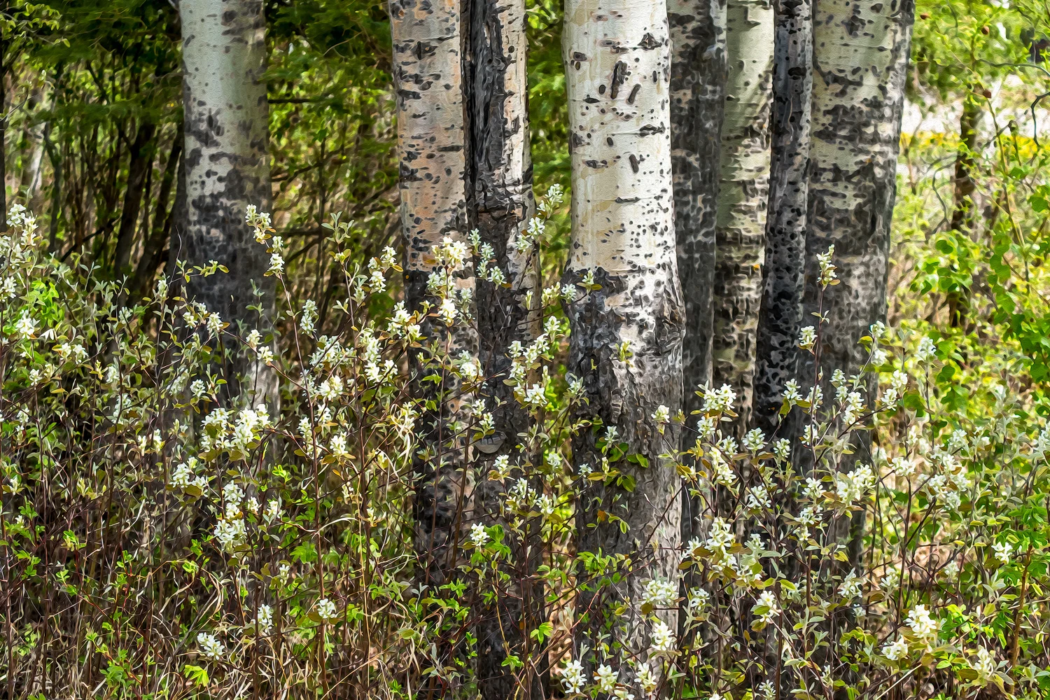 DSCF6324-Edit.jpg