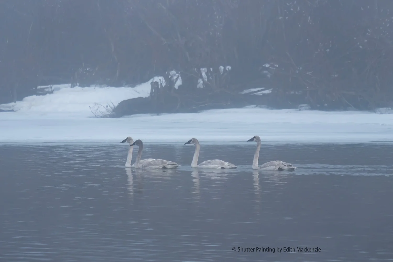 DSCF7793.jpg