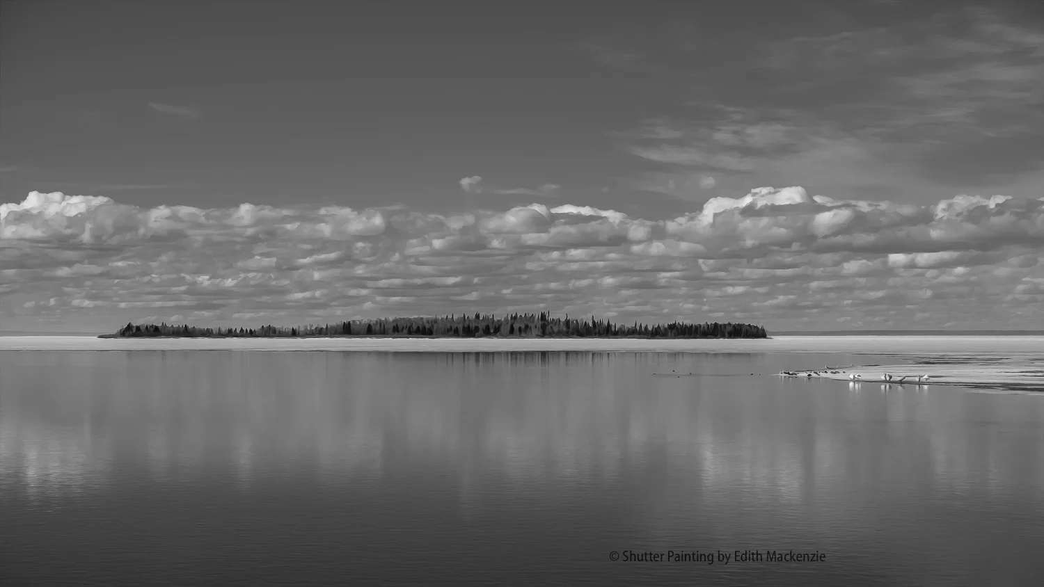 DSCF8275-Edit.jpg