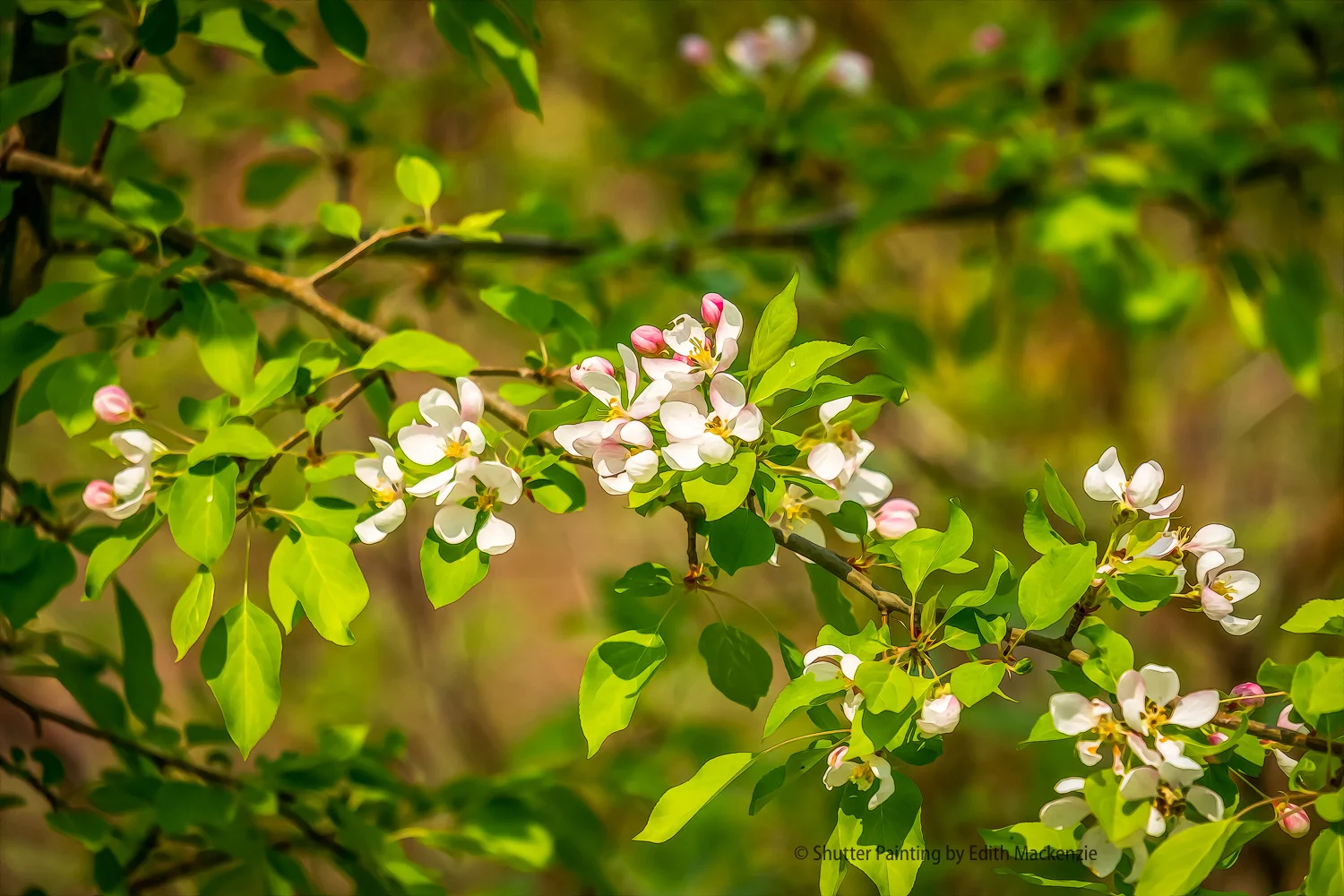 DSCF8873-Edit.jpg