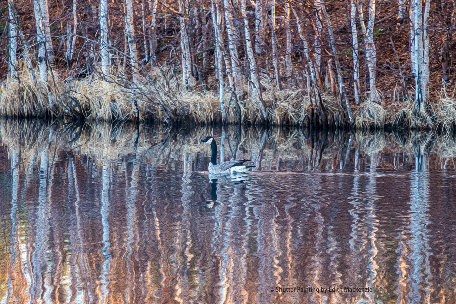 DSCF8899-Edit.jpg