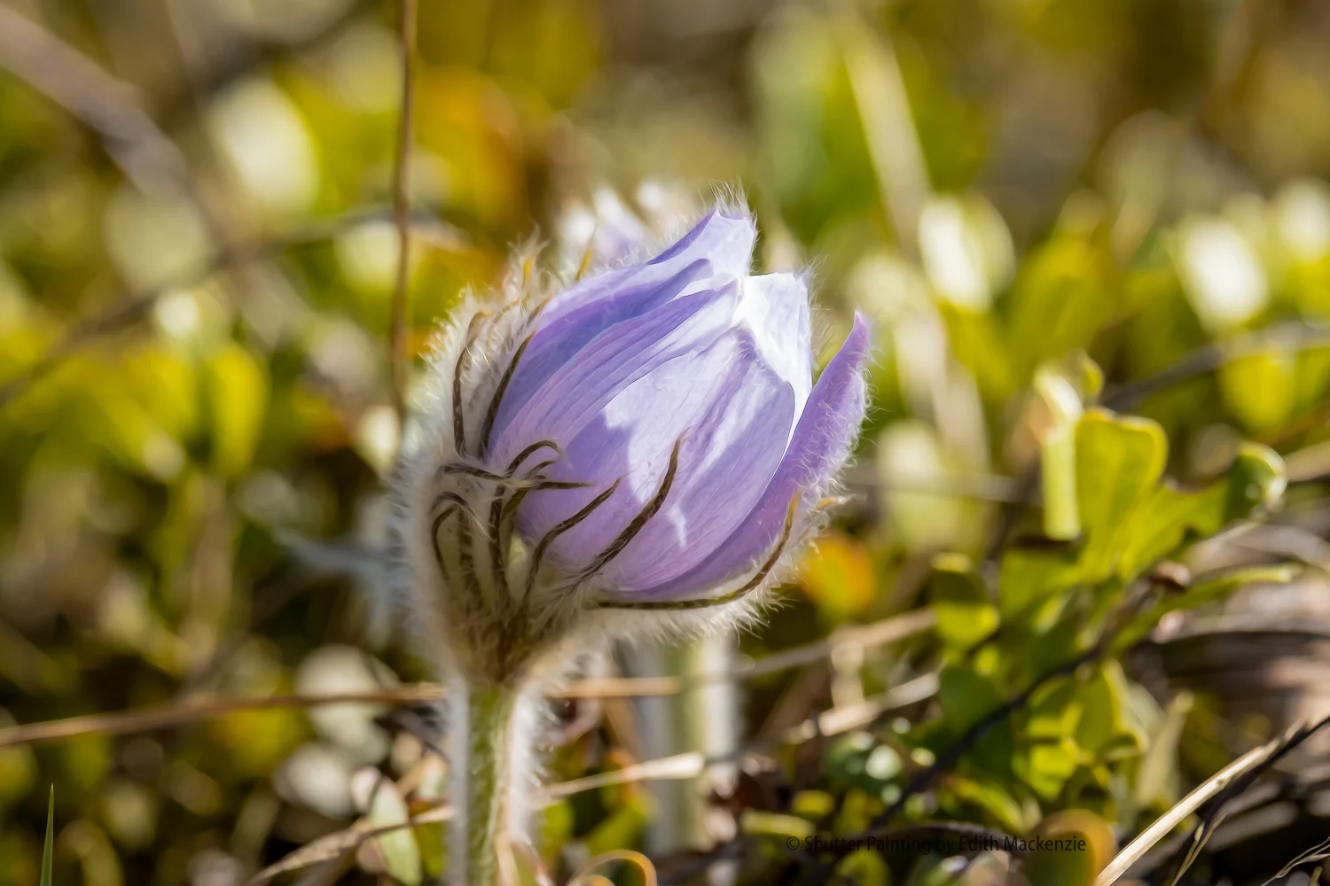 DSCF9883-Edit.jpg