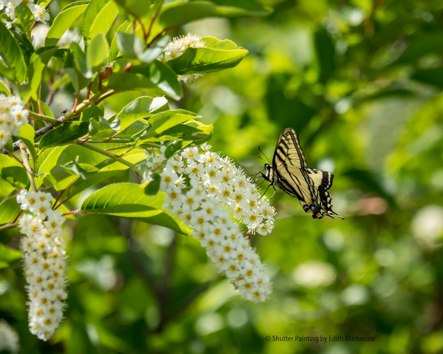 DSCF4572.jpg