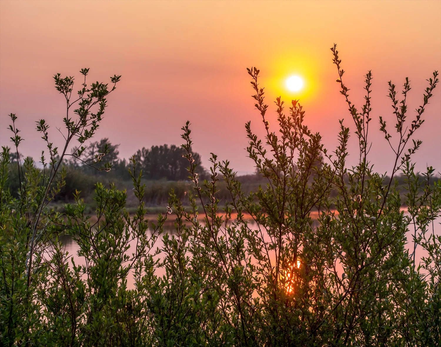 DSCF9031-Edit.jpg