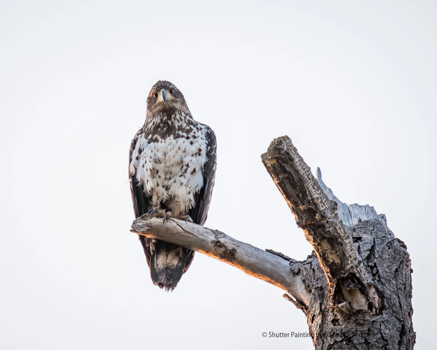 DSCF9115-2.jpg